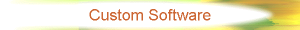 Custom Software
